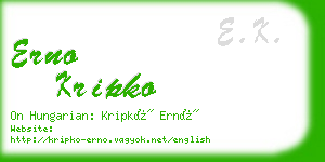 erno kripko business card